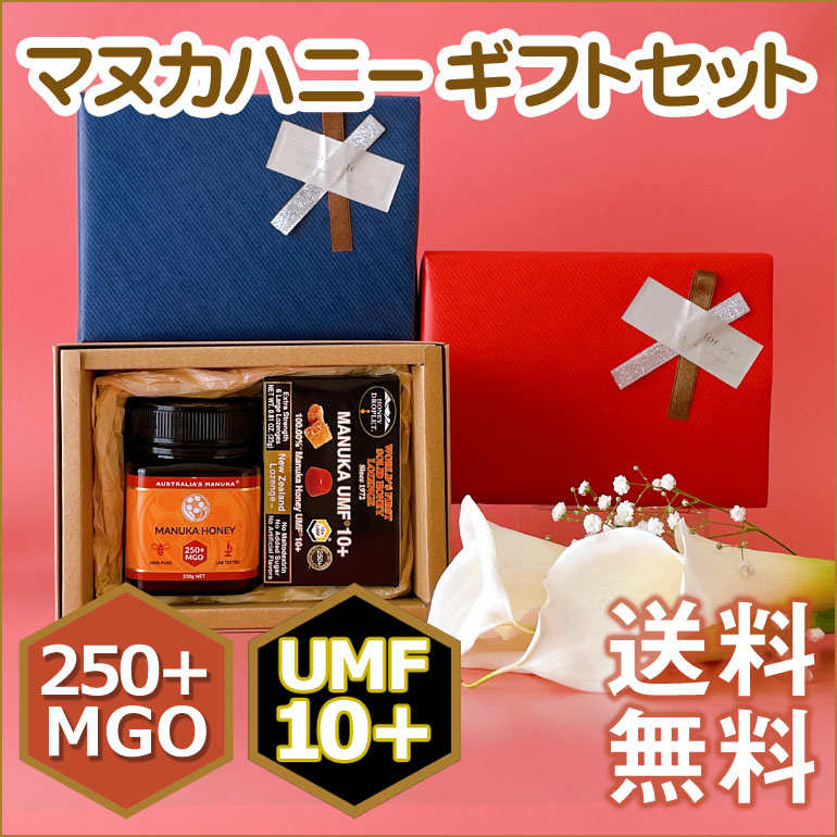 店 マヌカハニー UMF MGO ハニージャパン マヌカハニーUMF10 MGO250 250g 2個セット 送料無料 fucoa.cl