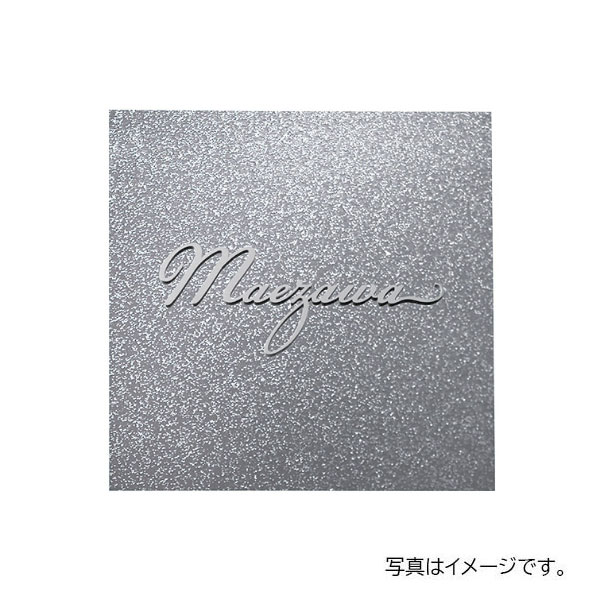 【4月はエントリーでP10倍】 福彫 チタン リュクス チタン切文字&チタン銀河 TIK-302