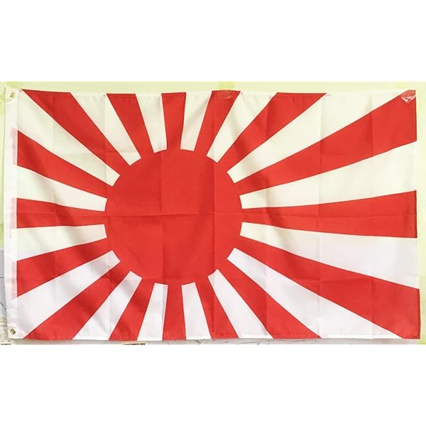 大日本国旗 Amazon | 大きい サイズ アイロン接着 旭日旗 刺繍 タクティカル