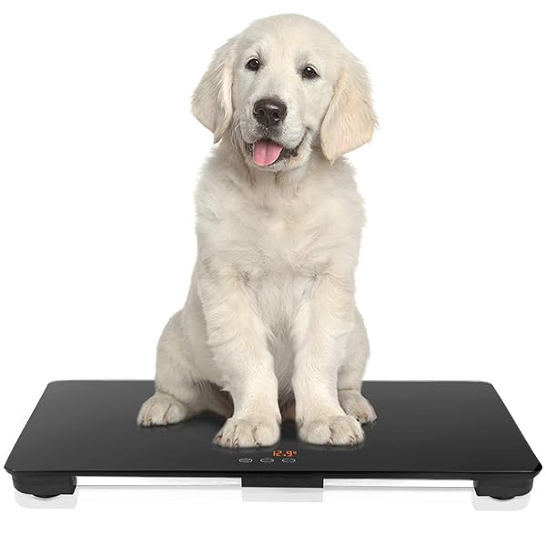 犬用体量計、毛の荒物用体量計65x45糎、最大限度体量100kg、適確さ10g、黒、犬と猫に適しています