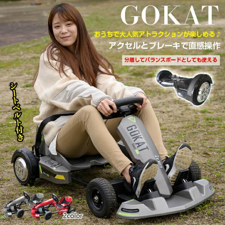 あきあきパパ　電動バランスボードとカートチェアセット 1682359509944386743.jpg