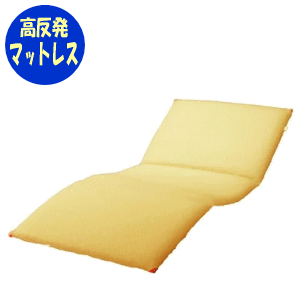 【製造会社直送品】【貨物輸送無料】心うれしいそよかぜ高手向かいマットレス83珊幅、91珊幅心うれしいおがわ マットレス 思わしい 高手向かい 御休み オーバーレイ手合い 通気性 ムレ打つ手 室内用便器能力のある 制菌工業 日本製【沖縄・離島不可】【通貨価値取り替えっこ不可】