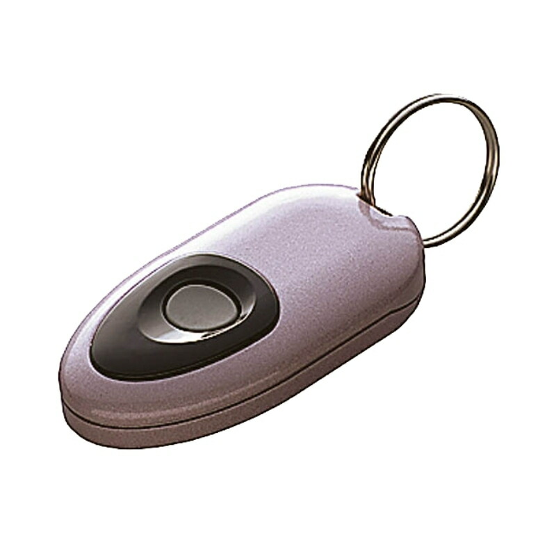 楽天市場】DASZ745 簡易タッチキーシステム用リモコンキー シルバー