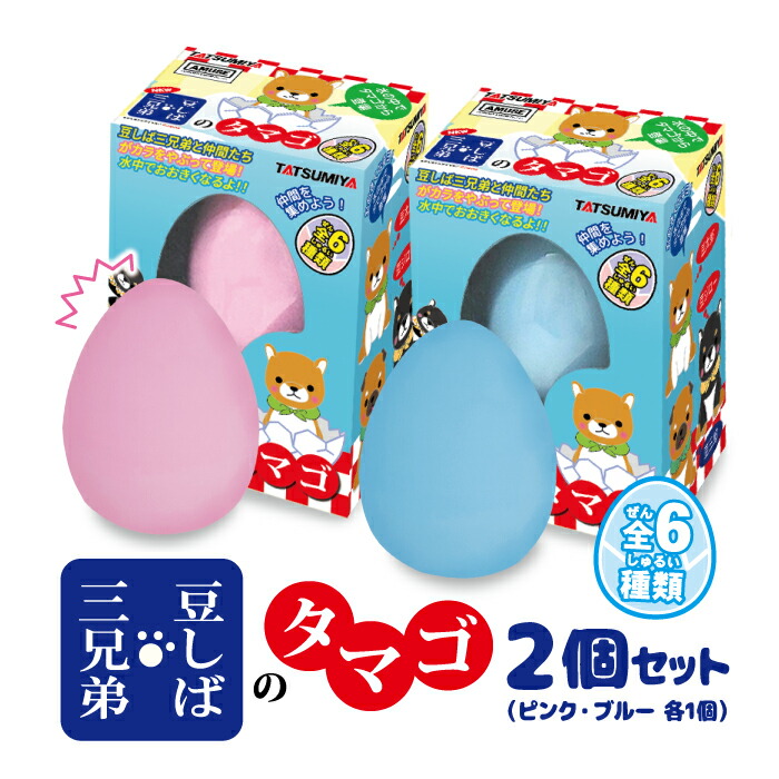 楽天市場】ドラゴンのタマゴ 水のなかで大きくなる《幼稚園