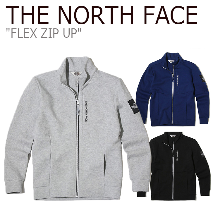 mens gray north face jacket