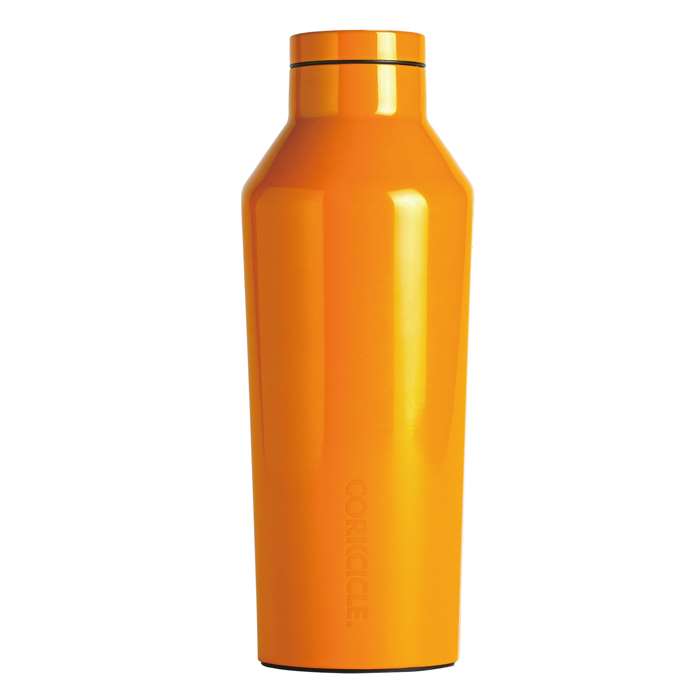 CORKCICLE ABARTH 非売品ステンレスボトル CORKCICLE ABARTH 非売品ステンレスボトル