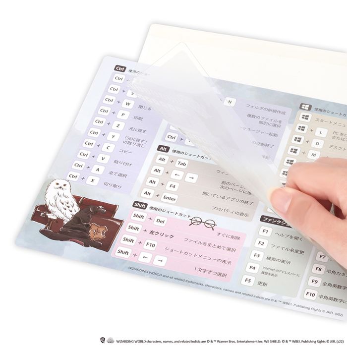 感謝価格 マウスパッド ワーナー 入力ガイド付 ローマ字変換早見表 ショートカットキー一覧 マウスマット レーザー式 光学式 ボール式対応 Pga Pg Wmp04 Koenji Igo Jp