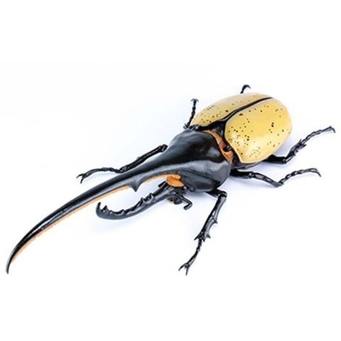 カブトムシ模型12匹 4968728171463_1.jpg