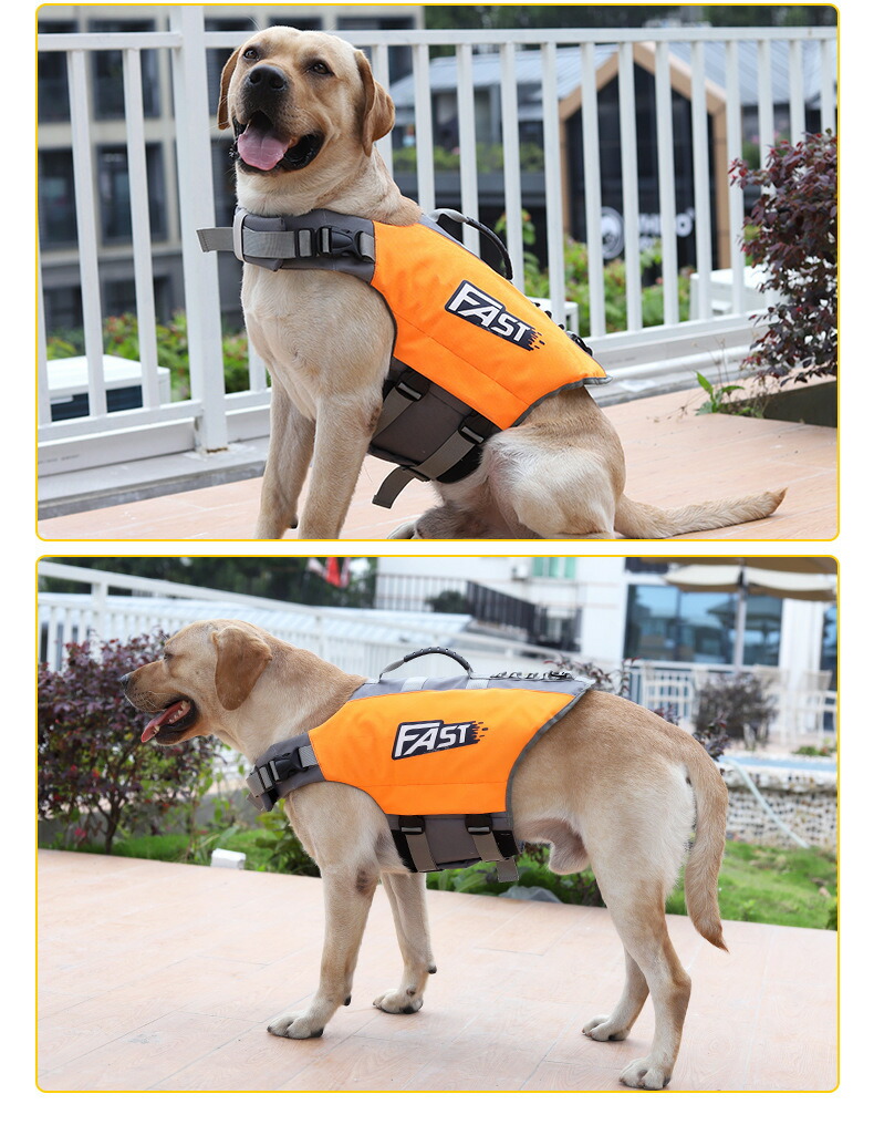 犬 ライフジャケット L M S Xl ジャケット プール ペット用 ライフ 中 中型犬 介護用ハーネス 夏 大型犬 安全 安心 小型犬 川 救命胴衣 春 水害 水遊び 海 災害グッズ 犬服 犬用浮き輪 人気提案 小型犬
