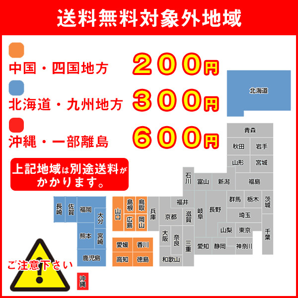 1050mlペット 選べる2ケース販売 サントリー 胡麻麦茶 黒烏龍茶 ダイエット X あす楽対応可 24本ケース販売 特定保健用食品 ダイエット 健康 お茶 ドリンクキング あす楽対応可 サントリー トクホ 地域限定送料無料 ファッション