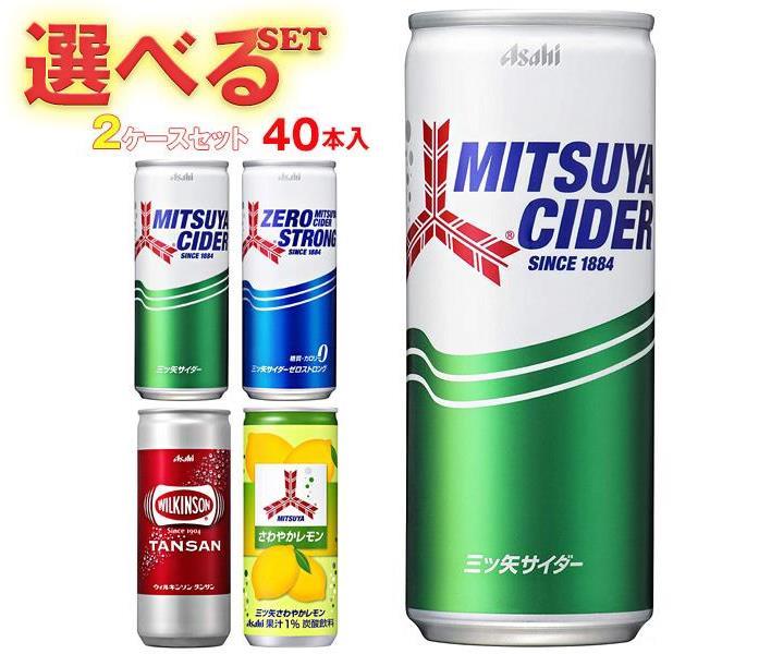 豪華で新しい 〔炭酸飲料〕 60本 レモンサイダー 缶 光食品 まとめ買い 250ml