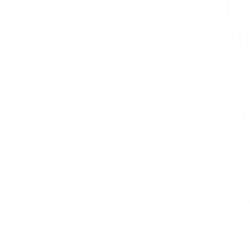 大きな取引 ネスレ日本 ネスカフェ ゴールドブレンド 香り華やぐ 80g瓶 24本入 2ケース Bagochile Cl