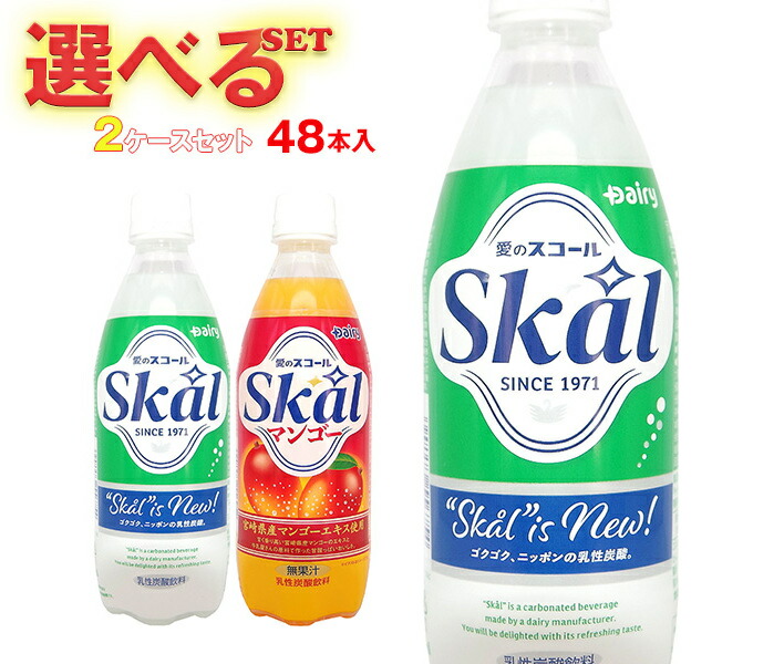 愛のスコール（炭酸飲料）250ml 2ケース40本ヨーグルッペ2ケースセット 愛』を込めて・・・愛のスコール250ml×40本(2ケース)_13-2305_(