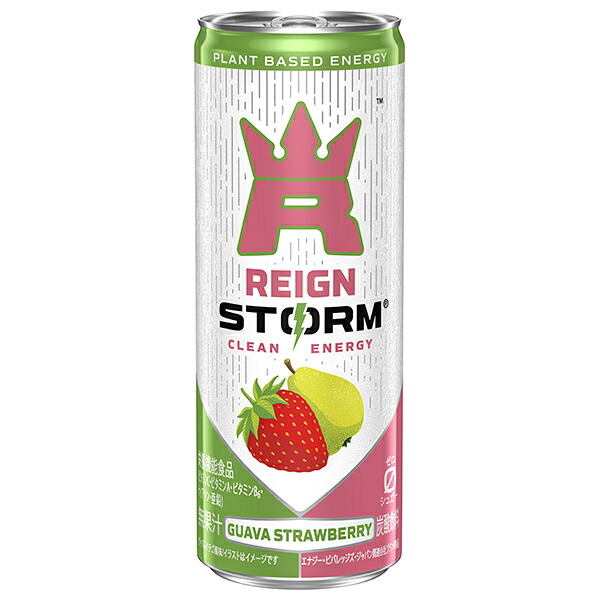 アサヒ飲料 レインストーム グァバストロベリー 250ml缶×30本入×(2ケース)| 送料無料 エナジードリンク 炭酸 栄養|ドリンクマーケット