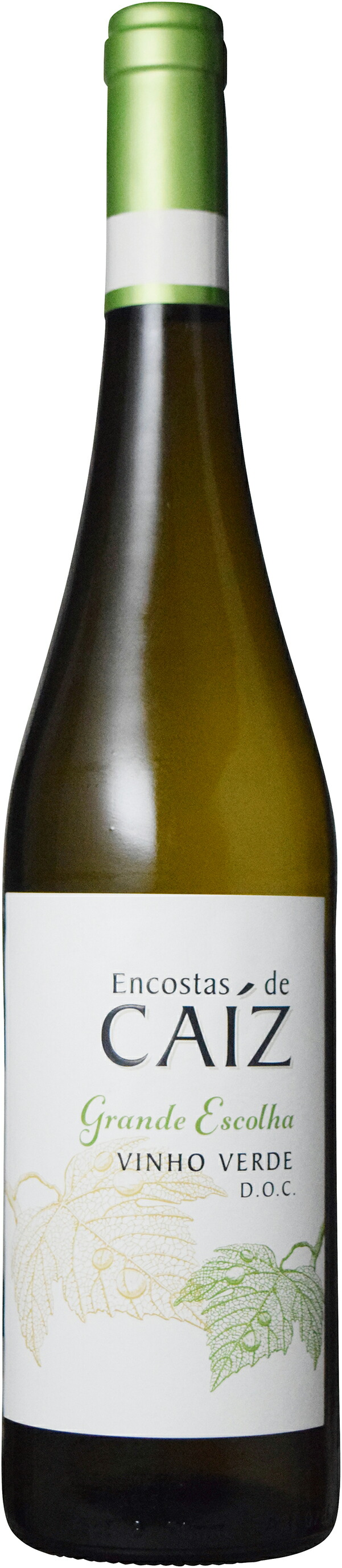 楽天市場】グラン コロナス グラン レセルヴァ[1966]年希少限定古酒