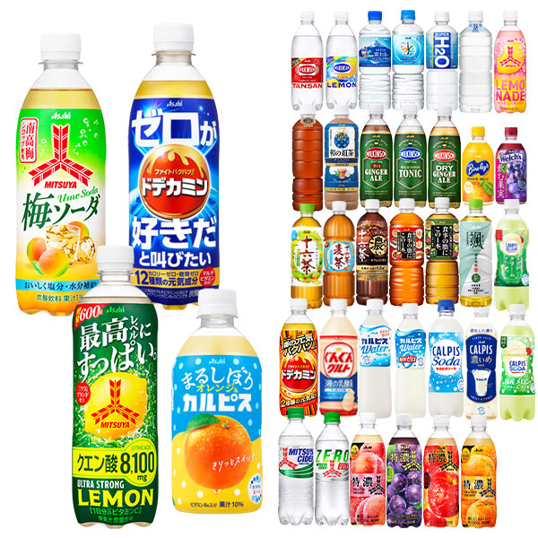 アサヒ飲料 400ml～660mlPET×48本[24本×2箱] 選り取り [三ツ矢サイダー ドデカミン ウィルキンソン 十六茶 カルピス 国産水 天然水 バヤリース 炭酸水 ミネラルウォーター]【3～4営業日以内に出荷】［送料無料］