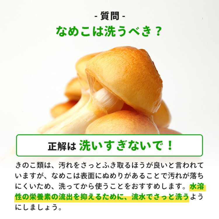 楽天市場 今期販売終了 なめこ栽培キット もりのなめこ農園 なめこ ナメコ 家庭菜園 自由研究 観察 野菜 室内 きのこ栽培 キノコ栽培 栽培キット 栽培セット 菌床 ナメコ栽培 国産 送料無料 きのこリウム 森のきのこ倶楽部