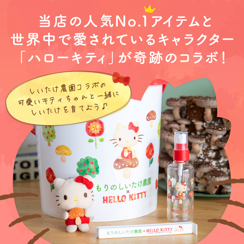 完売しました】【ラスト5時間限定49%OFF】もりのしいたけ農園×HELLO