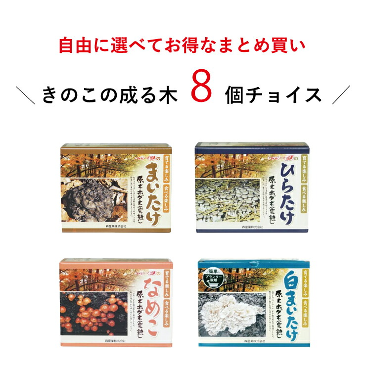 楽天市場】【P10倍 27日9:59まで】【ほだ木】原木ナメコ栽培