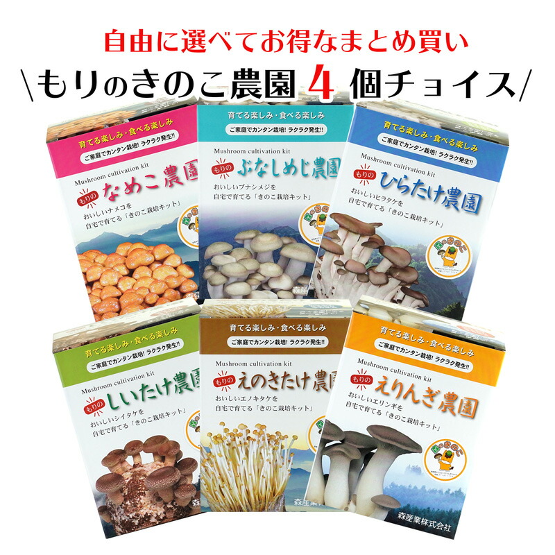 楽天市場 お好み2個 選べてお得 きのこ栽培キット 農園2個チョイス 化粧箱付 キノコ栽培 きのこ栽培 しいたけ エリンギ ぶなしめじ なめこ えのきたけ ひらたけ 家庭菜園 自由研究 観察 野菜 室内 菌床 送料無料 きのこリウム おうち時間 巣ごもり 森のきのこ倶楽部