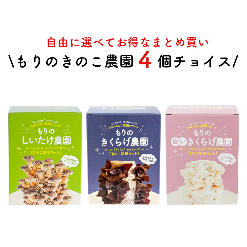 ポムさんページ。なってる椎茸原木1本・なめこ原木1本 ポムさん様専用ページ。なってる椎茸原木1本・なめこ原木1本