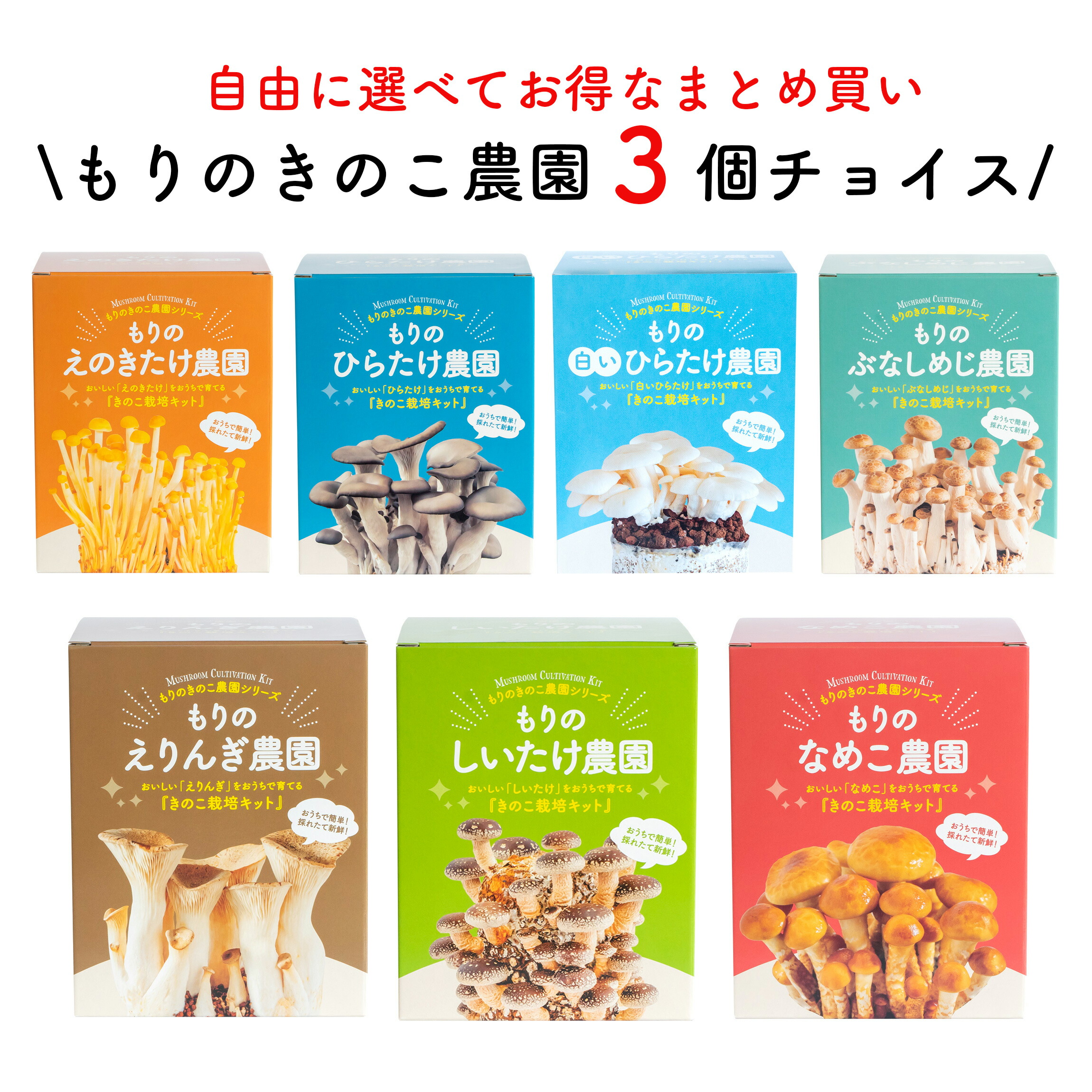 楽天市場】【お好み4個 選べてお得】きのこ栽培キット 農園4個チョイス