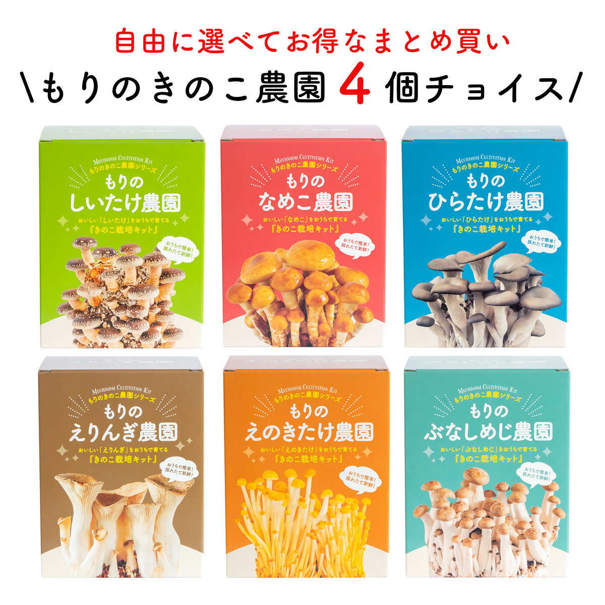 楽天市場】【12/1限定 最大P13倍】【お好み2個 選べてお得】【12月再販