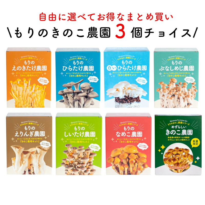 きのこさん専用 国産 まるごと椎茸 | 加藤産業株式会社