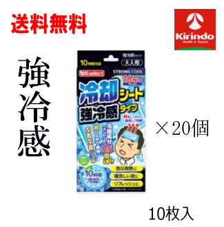 楽天市場】送料無料 20個セット k-select(ケーセレクト) 冷却