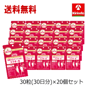 夏準備すること！朱夏大売り出し \u0027貨物輸送無料 20個書き割り 小林製薬 醗酵大豆イソフラボンエクオール 30粒(30日)入り口・入口×20個 楽にする税率客体商いもの 大豆イソフラボン