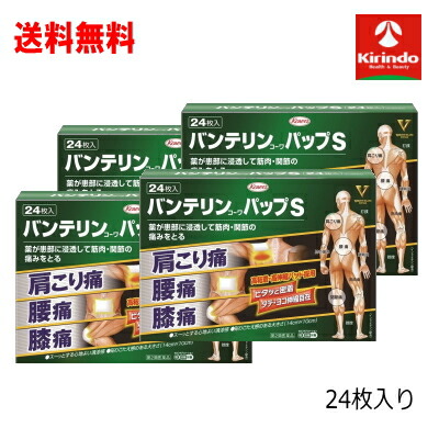 新生活応援セール 送料無料 4個セット【第2類医薬品】興和バンテリンパップS 24枚入り×4個 ★セルフメディケーション税制対象商品