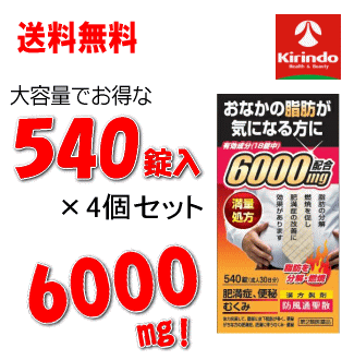 夏本番！サマーセール 在庫のみ 送料無料 4箱セット【第2類医薬品】北日本製薬 防風通聖散エキス6000 540錠 30日分 &times;4個セット 120日分 ★セルフメディケーション税制対象商品｜ドラッグキリン店