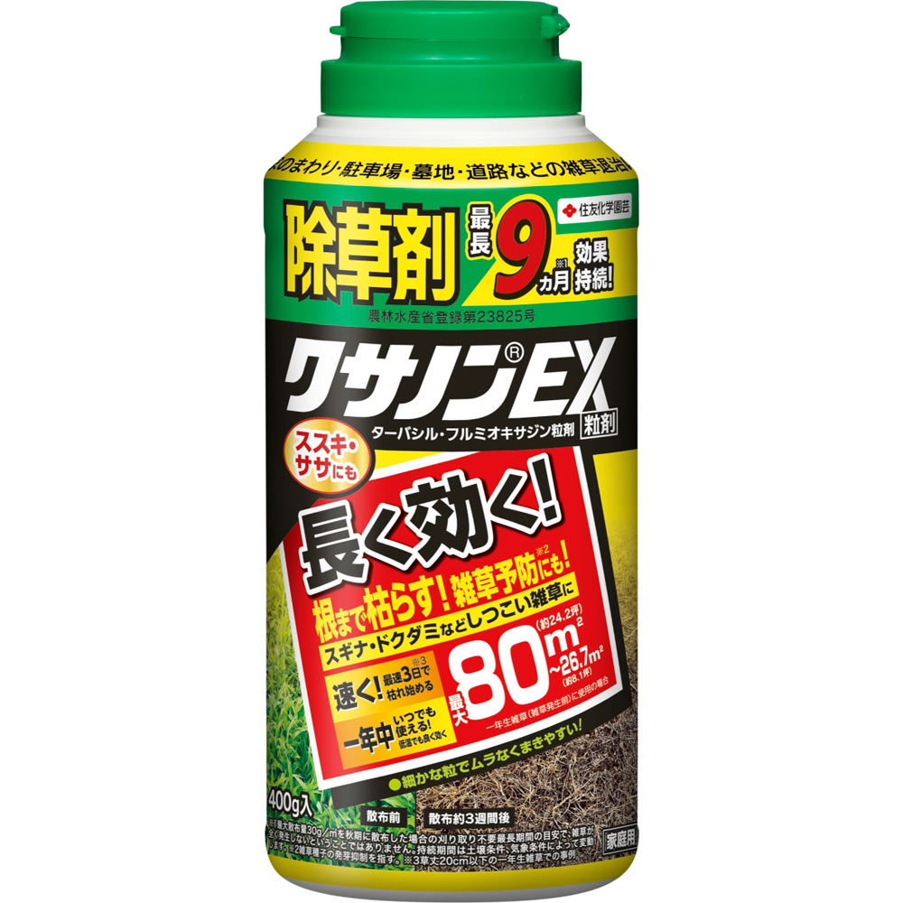 【確認用】農薬不使用　鷹の爪　30本(画像補正はしていません♪) 豊作！8/8① 確認用】農薬不使用 鷹の爪 30本(画像補正はしていませ
