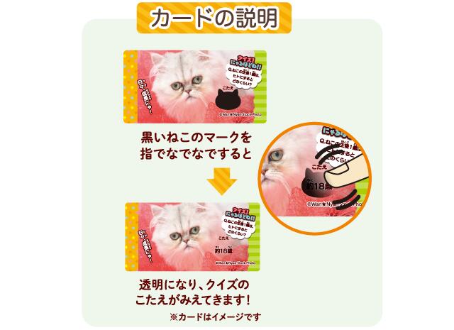 楽天市場 株式会社正栄デリシィきまぐれねこにゃん 1枚入 個セット 夏季 4月ー9月は溶ける ので配送休止します ドラッグピュア楽天市場店 北海道 沖縄は別途送料必要 ドラッグピュア楽天市場店 楽天市場 株式会社正栄デリシィきまぐれねこにゃん 1枚入 個セット 夏季 4月ー9月は溶ける ので配送休止します ドラッグピュア楽天市場店 北海道 沖縄は別途送料必要 ドラッグピュア楽天市場店