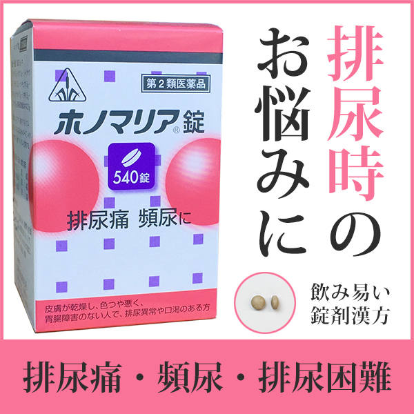 市場 第3類医薬品 8月25日までポイント5倍 排尿困難などのつらい症状に剤盛堂薬品 クーポン対象外 ○排尿痛