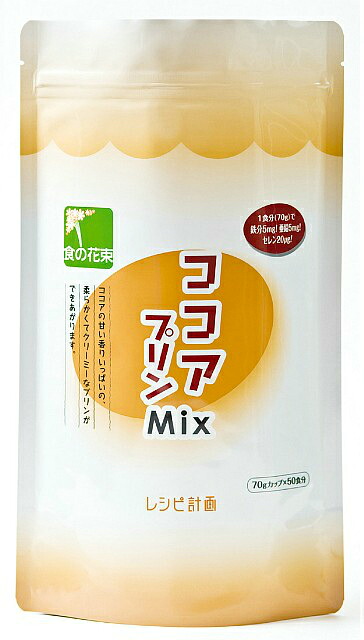 株式会社レシピ計画ココアプリンMix　500g &times; 20【JAPITALFOODS】【RCP】｜ドラッグピュア店