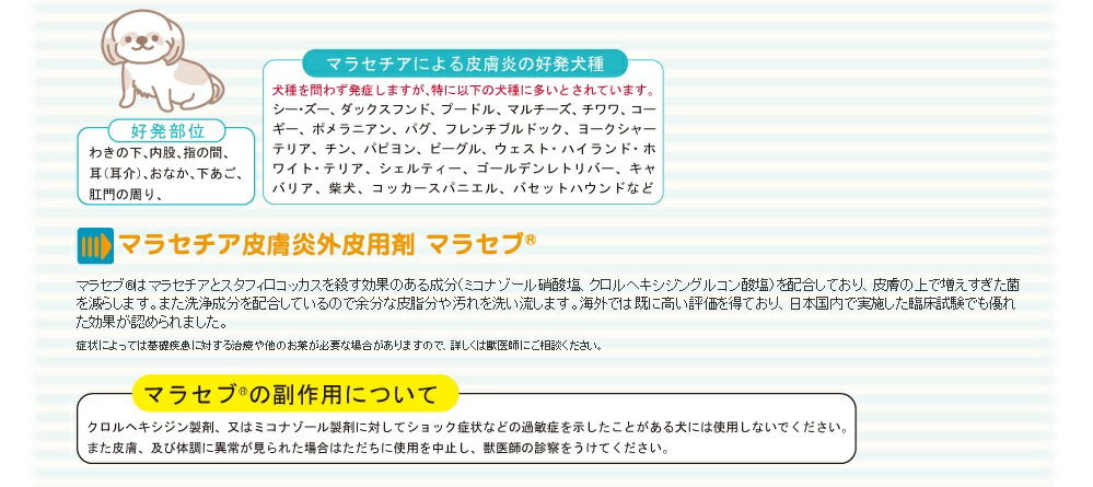 マラセブシャンプー 4l 1ガロン キリカン洋行 マラセチア 皮膚炎 真菌 カビ 抗菌 薬用シャンプー 犬 犬用 動物用医薬品 獣医 病院 おすすめ Sermus Es