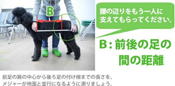 わんだふるウォーカー オーダーメイド 体高50cm 50 59cm 犬用 車椅子 歩行補助 リハビリ 車いす 介護 犬用車椅子 ボーダーコリー ダルメシアン Sermus Es