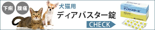 市場 ライトクリーン 白内障進行予防 動物用医薬品 犬用