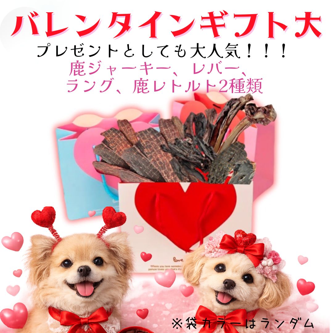 楽天市場】送料無料 ペットフードのお得ボックス 犬用 3種類以上お届け