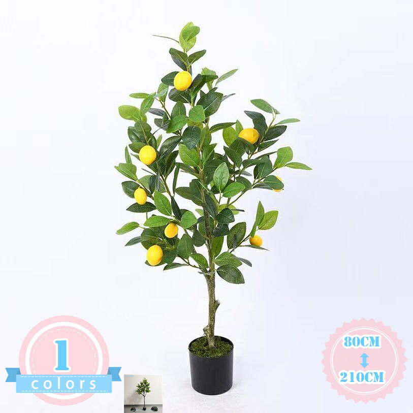 500円OFFクーポン券 人工盆栽草木 ポット付き添い人 老人ホーム飾りつけ 差し上げ物用 観葉草木 フェイクグリーン 造花 馬鹿でかい 大きめ バス発着場 大型 分かりやすい かざり付けるり 御祭り デコ用 お取りつくろう飾り気の無い 害虫が生いそだつしない バス発着場かざり付ける 執務室 自然的 人工草木 ds-store