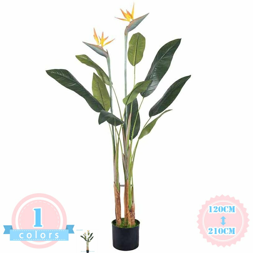 1000円OFFクーポン券 本当の 人工観葉草木 フェイクグリーン 観葉草木 造花 フェイクツリー 鉢 水やり不必要 室内装飾 今めかしい 御祭り 生まれ落ちる日 しっぺい返し 一緒になる 父 母 成人男性 成人女性 敬老の日 差し上げ物可 室内 執務室 かざり付ける エントランス状態 バス発着場 緑化 ds-store