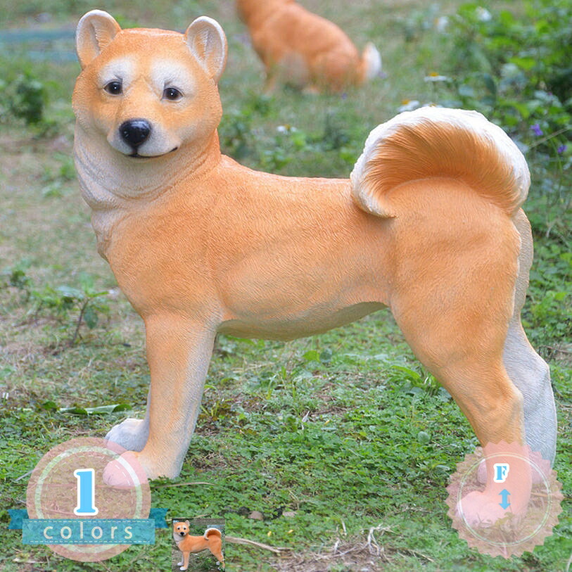 ガーデニング雑貨 飾り付け 犬のオブジェ 庭 毛の荒物 毛の荒物 園地 雑貨 オブジェ かっこ良い 愛くるしげ 飾り付け カントリー雑貨 室内装飾 お座敷かざり付ける品 飾り付け 耐久性 耐候性 入り口・入口 歩廊 芝地 差し上げ物 差し上げ物 差し上げ物 ds-store エクステリア・ガーデンファニチャー-花・ガーデン・DIY
