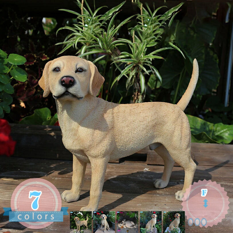 1000円OFF引き換え証 庭 飾りつけ 大型 犬 飼い犬 秘密捜査員 オブジェ 毛の荒物 ドッグオーナメント 部屋の入り口 ガーデンオーナメント 毛の荒物 犬の飾りつけ 犬のオブジェ 飾りつけ 太鼓腹 苑地 縁側 室内装飾雑貨 愛くるしげ 即物的 差し上げ物 差し上げ物 儀式用 ds-store