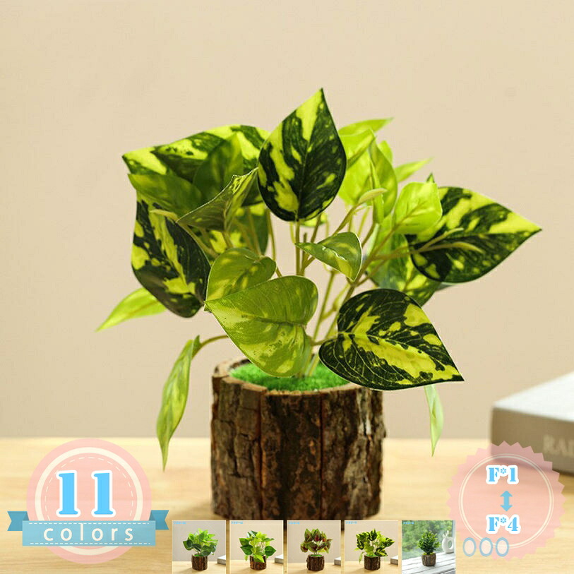 1000円OFFクーポン フェイクグリーン インテリア ミニ 人工観葉植物 和風 卓上 ミニ プレゼント ギフト 卒業式 誕生日 ウェディング 飾り 撮影 美術館 ホーム 庭園 キッチン オフィス パーティー 小さい ミニ鉢植え盆栽 ds-store｜DSショップ
