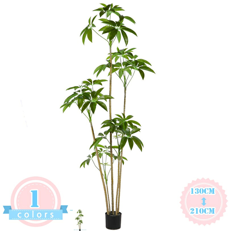 1000円OFFクーポン券 人工観葉草木 室内装飾 造花 まがい物 緑であること 御部屋 位相空間 好いたらしい お取りつくろう 不必要 住みか 室内 用 差し上げ物 差し上げ物 今めかしい 今めかしい リビング 飾りつけ 屋内 うつり変わり 執務室 雑貨 御茶の間 会社組織 部屋の入り口 老人ホーム庭園 調度品 一人暮らし ds-store