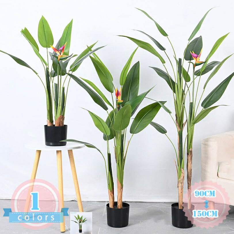 500円OFFクーポン券 観葉草木 北欧 フェイクグリーン 人工観葉草木 鉢付き添い人 今めかしい 室内装飾飾りつけ 室内 リビング 執務室 勝手もと 飾りつけ用 部屋の入り口 バス発着場 差し上げ物 御祭り 手間なし 水やり不必要 見晴らし 身寄り 後庭 執務室 伸び伸びする 癒し 置き ds-store