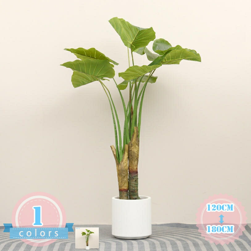 大人気 MYXYG6X7SA6 型番:MYXYG6X7SA6