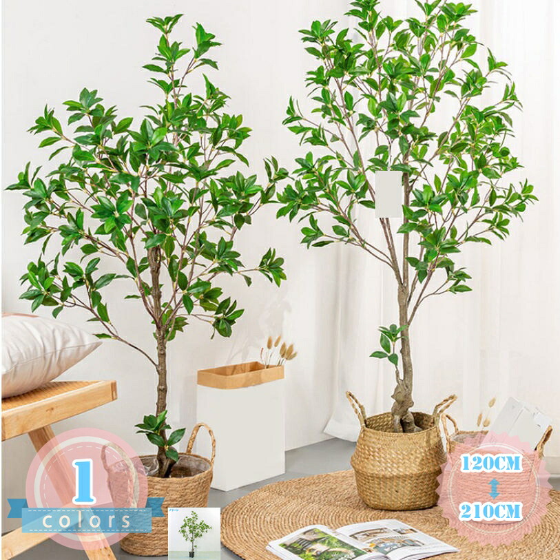 自然的 馬酔木 アセビ 観葉草木 人工 フェイクグリーン 室内 リビング 執務室 一人暮らし 緑 室内装飾 室内装飾緑であること 大型 人工 造花 観葉 草木 植木 人工観葉草木 人工観葉樹 今めかしい 水やり不必要 人工ご覧なさる草木 引き越す祝賀会 差し上げ物 ds-store