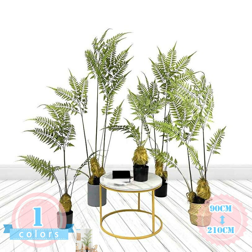 1000円OFFクーポン シダ植物 枯れない フェイクグリーン 造花 観葉植物 大型 人工 幹をグネグネ曲げられる 鉢植え 人工観葉樹 部屋 風水 開運 リビング 玄関 室内用 シンプル お洒落 常緑樹 世話がない 水やり不要 インテリアグリーン お祝い ds-store|DSショップ